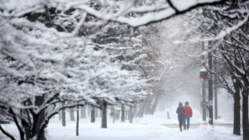 暴风雪席卷美国中西部 20万户断电 数千航班停飞