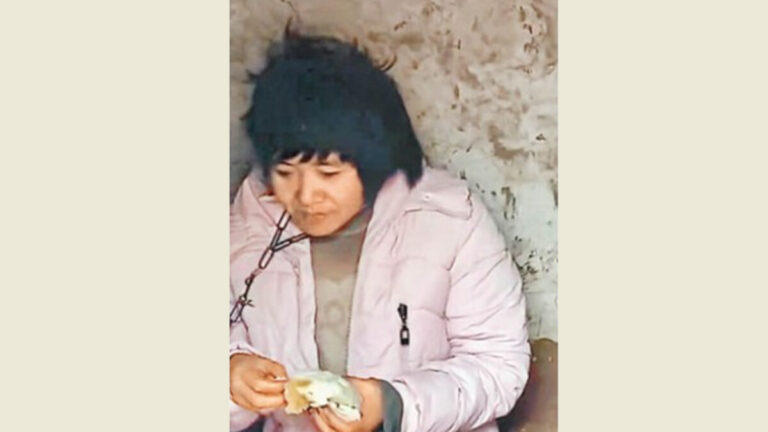 鐵鏈女調查結論引輿論大反彈：掩蓋真相後果嚴重