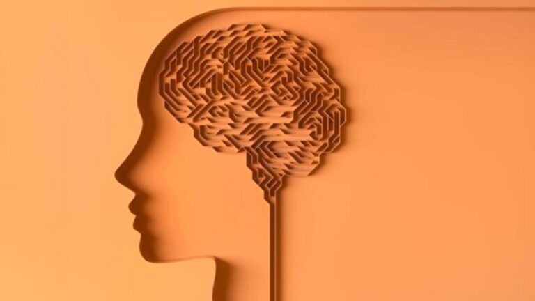 研究：體育鍛鍊可改善老年人學習和記憶能力