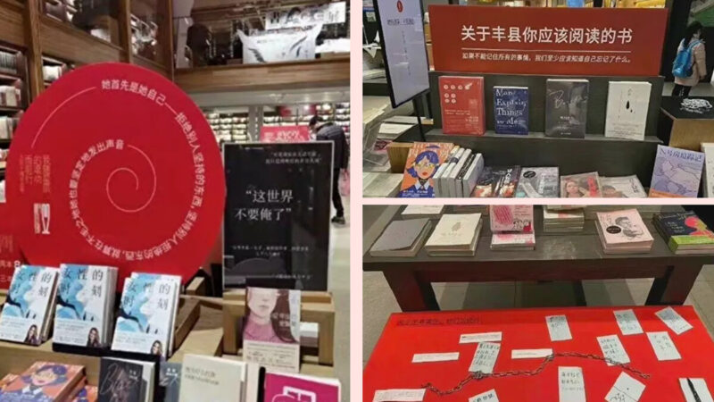 设专柜声援“铁链女” 中国各地书店被约谈下架