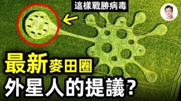 【文昭思绪飞扬】最新麦田圈 外星人战胜新冠病毒的建议？