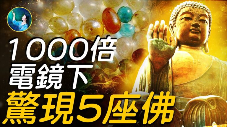【 未解之謎】「天外神物」舍利子