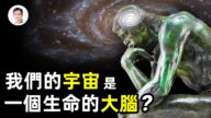 【文昭思緒飛揚】我們的宇宙是一個生命的大腦？