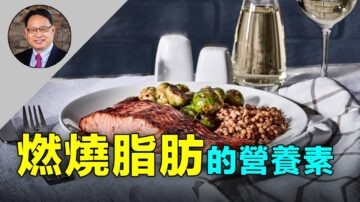 【四维健康】这么吃能减肥 六种食物中的营养素能燃烧脂肪！