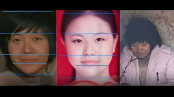 官方突否認八孩母是李瑩 傳江蘇調查組目的是封殺