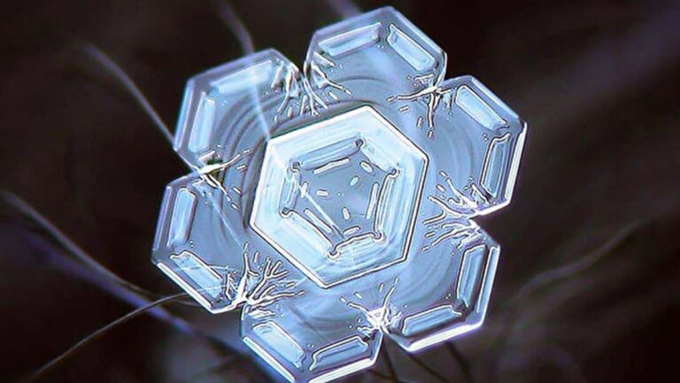 歷經14年 微距攝影師記錄雪花百態（圖）