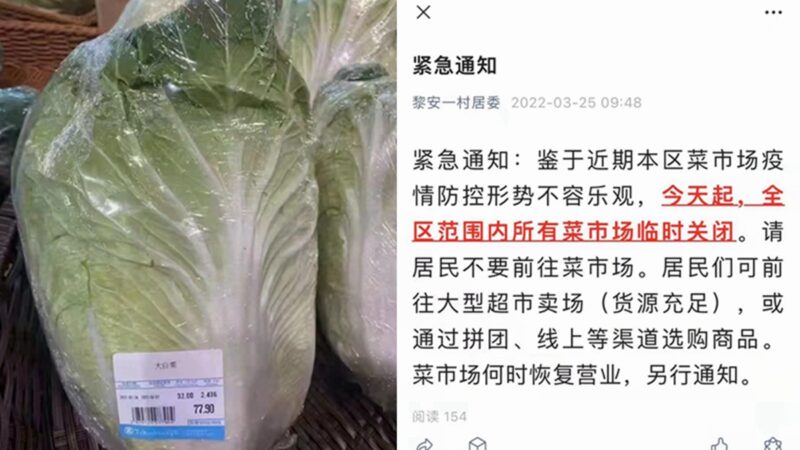 网传上海某菜市场全关闭 官方辟谣引发评论区翻车