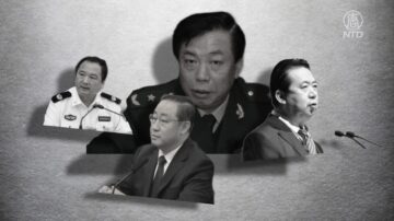 【落马官员】中共公安部前副部长刘彦平落马