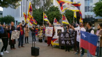 西藏起义63周年 洛藏人团体中领馆前示威