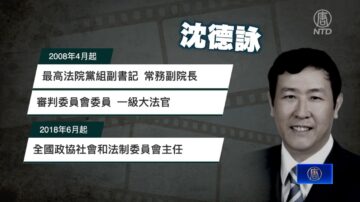 【落馬官員】中共最高法院前副院長沈德詠被查 曾迫害法輪功