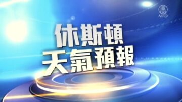 休斯顿一周天气预报