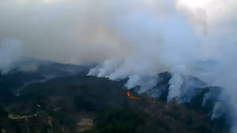 韩国大火近2万公顷森林被毁 近万民众紧急撤离