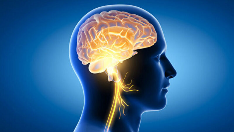 迷走神經：最長腦神經 刺激它能讓你更健康