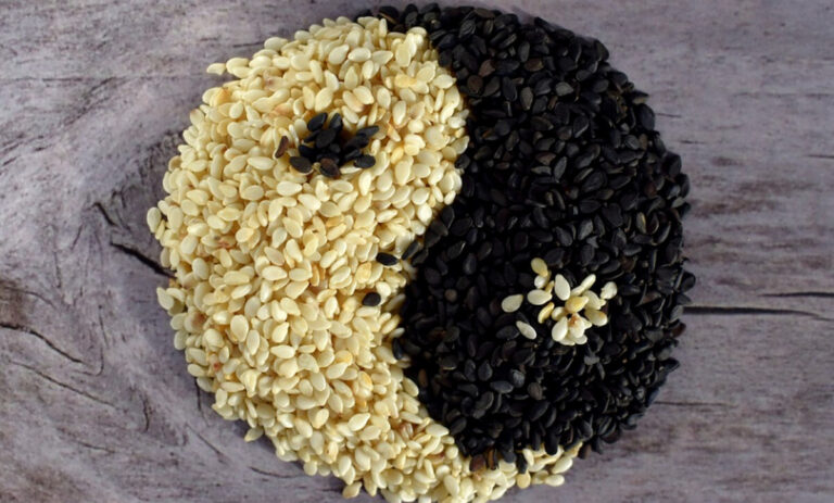 那些補鈣最優食物你知道嗎？
