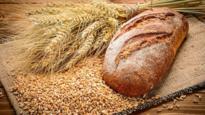 土耳其發現世界最古老麵包 距今8600年