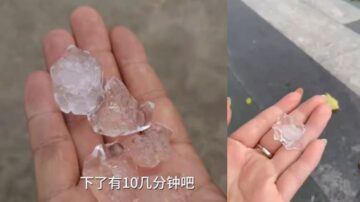 广东多地突降冰雹 网民：多灾多难（视频）