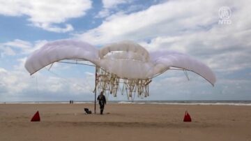 行走的雕塑 巨型“海滩野兽”御风而行