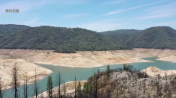 炎熱天氣提前駕到 加州今年或強制節水