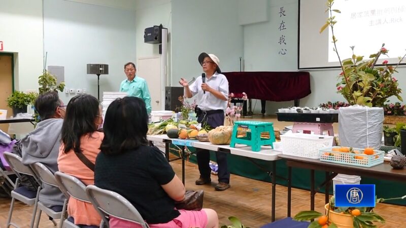 台館園藝講座送種子 輕鬆種出台灣味