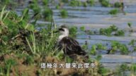 【廣告】美麗心台灣