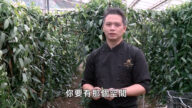 【廣告】美麗心台灣