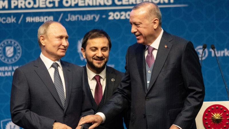 土耳其总统和普京通话 促全面停火签署和平协议