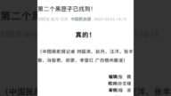 東航空難：7記者共寫新聞僅2字「真的」