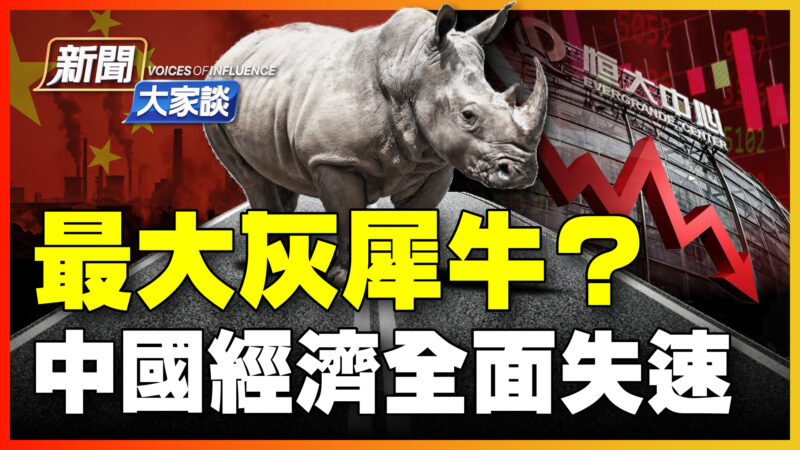 【yabo88官网大家谈】最大灰犀牛？中国经济全面失速