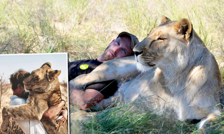 男子拯救遺棄幼獅 和獅子溫柔擁抱的視頻廣傳