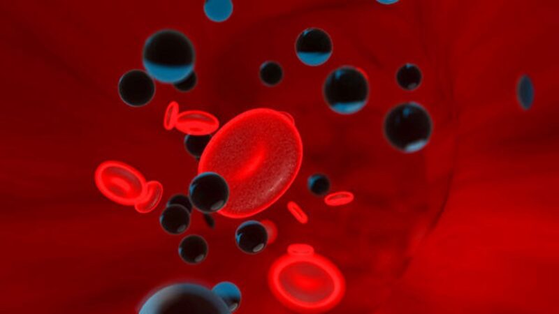 人类血液中首次发现微塑料 多来自日用品