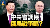 【热点互动】西方希望中共调解俄乌局势 是否再度犯错？