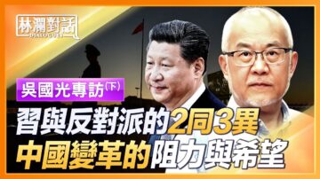 【林瀾對話】吳國光專訪（下）習近平與反對派的「2同3異」