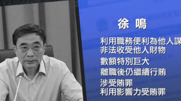 【落马官员】收受巨额财物 薄熙来秘书徐鸣被起诉