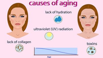 新研究：iPS技术使女性皮肤细胞减龄30年