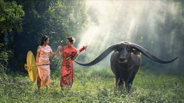 催眠回溯發現許多人前世是動物
