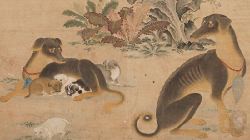 在古代秦汉时期 狗曾经是捕鼠的主力
