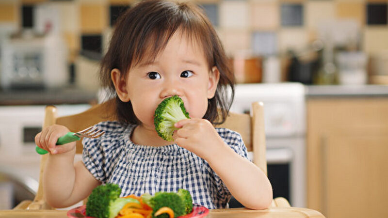 儿童防疫必补蛋白质和锌 小心这类食品损免疫力