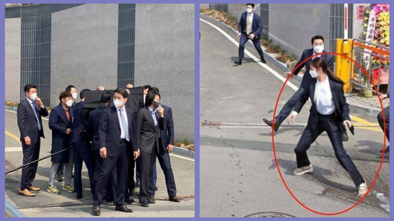 朴槿惠出院遭袭击 女保镖舍身保护视频窜红