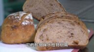 【廣告】美麗心台灣
