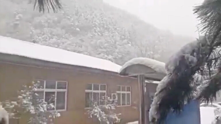 青海天峻縣「六月」飛雪  民眾感嘆：有冤情