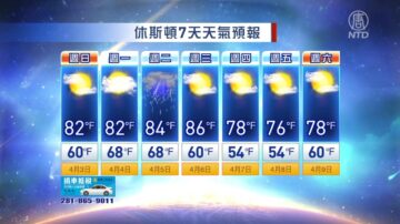 休斯顿一周天气预报