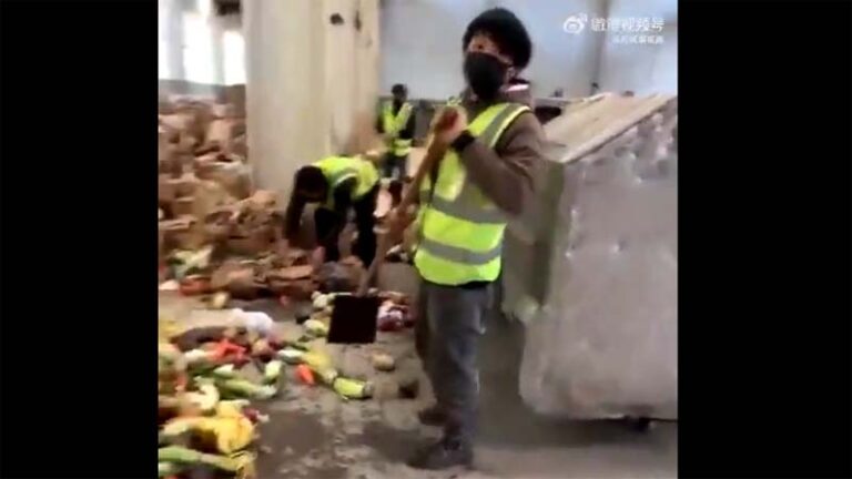 遼寧援滬食物被扔垃圾桶 上海「闢謠」遭遼寧打臉