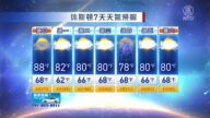 休斯頓一週天氣預報