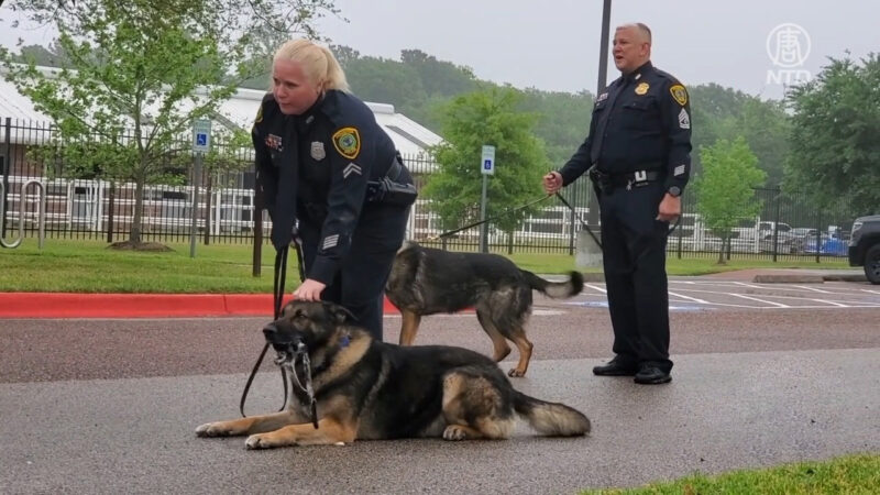 休斯顿警犬队获赠医用急救包