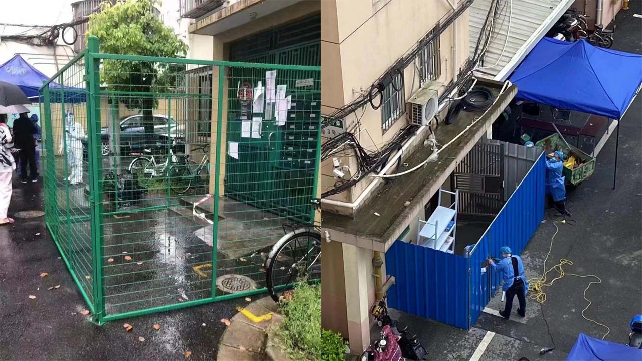 强推视频
