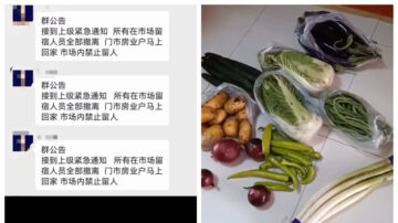 周晓辉：民众抢菜 上海长春政府卖捐赠菜