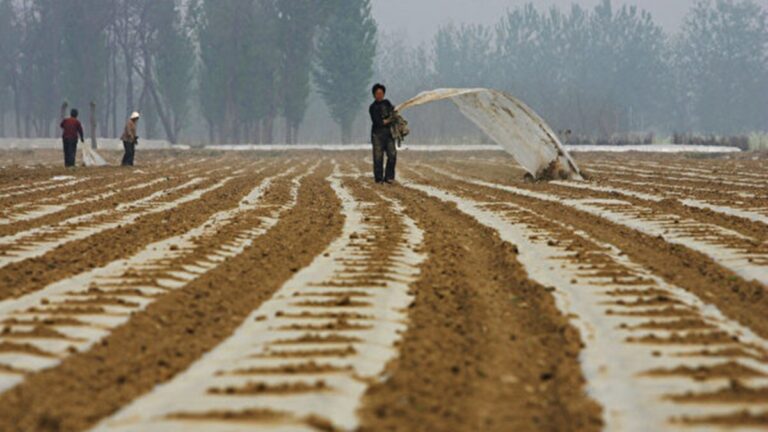 【名家專欄】中共依賴非洲 防食物危機