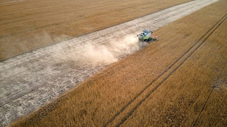 【名家專欄】全球糧食危機會引經濟崩潰嗎？