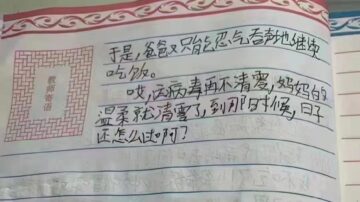 “妈妈的温柔快清零了！”上海小学生作文热传