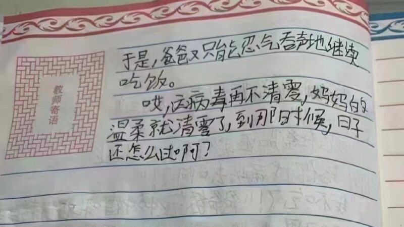 「媽媽的溫柔快清零了！」上海小學生作文熱傳